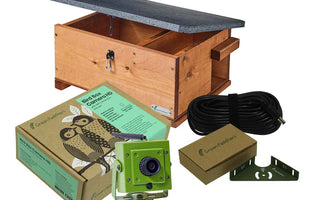 Connecting with Nature: Discover our Hedgehog Box Camera Deluxe Bundle and its WiFi-enabled Wildlife Monitoring Experience