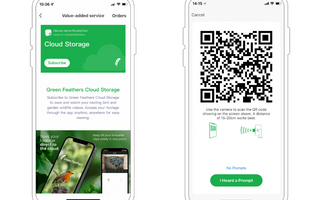 Green Feathers App Updates May 2022
