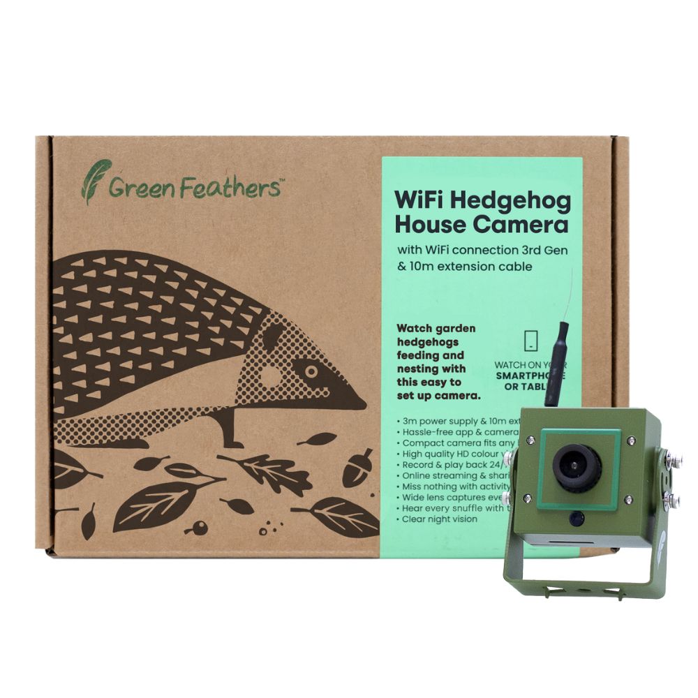 Hedgehog Box Cameras
