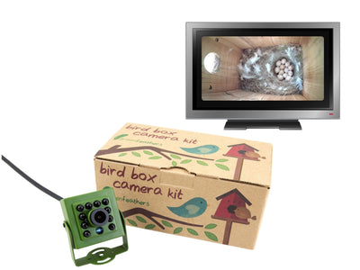HD Cable Connection Bird Box & Wildlife Camera