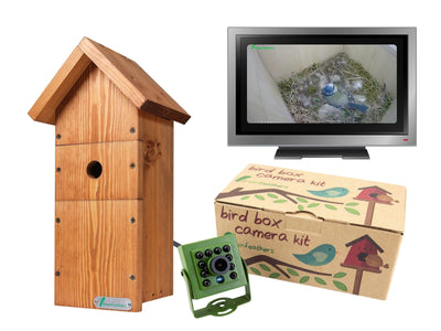 Green Feathers Bird Box Camera HD Deluxe Bundle TV Cable Connection