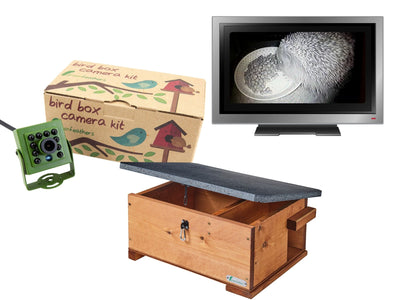 HD Cable Connection Hedgehog Box Camera Starter Pack