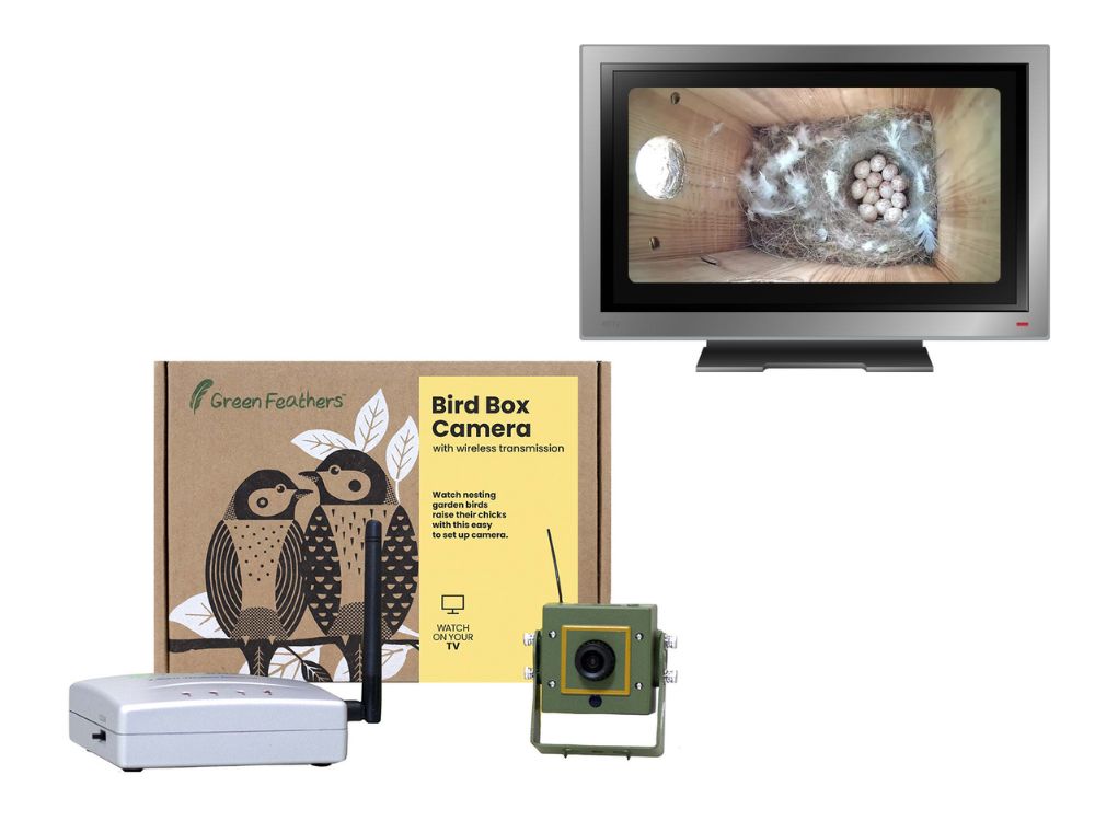 Bird Box & Wildlife Camera with Wireless Transmission