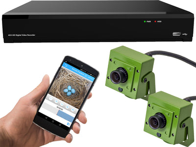 Aviary HD Cameras With Recorder Pack