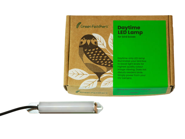 Daytime LED Lamp for Bird Boxes