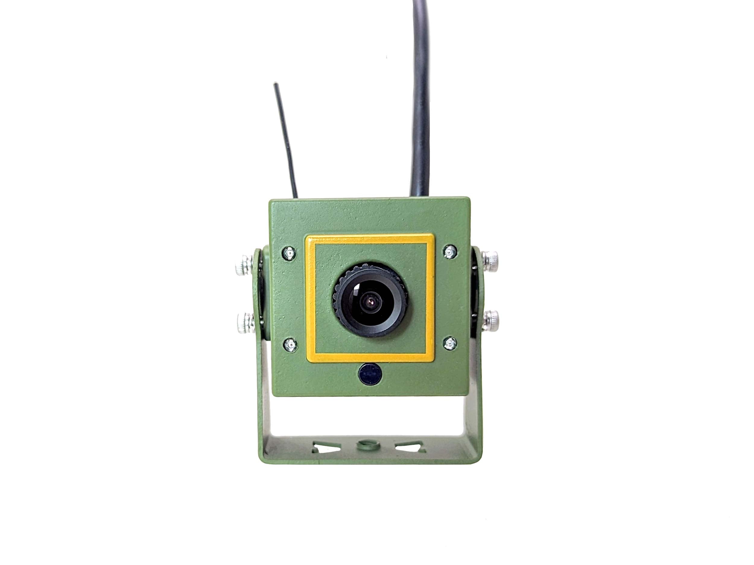 wireless bird box camera 